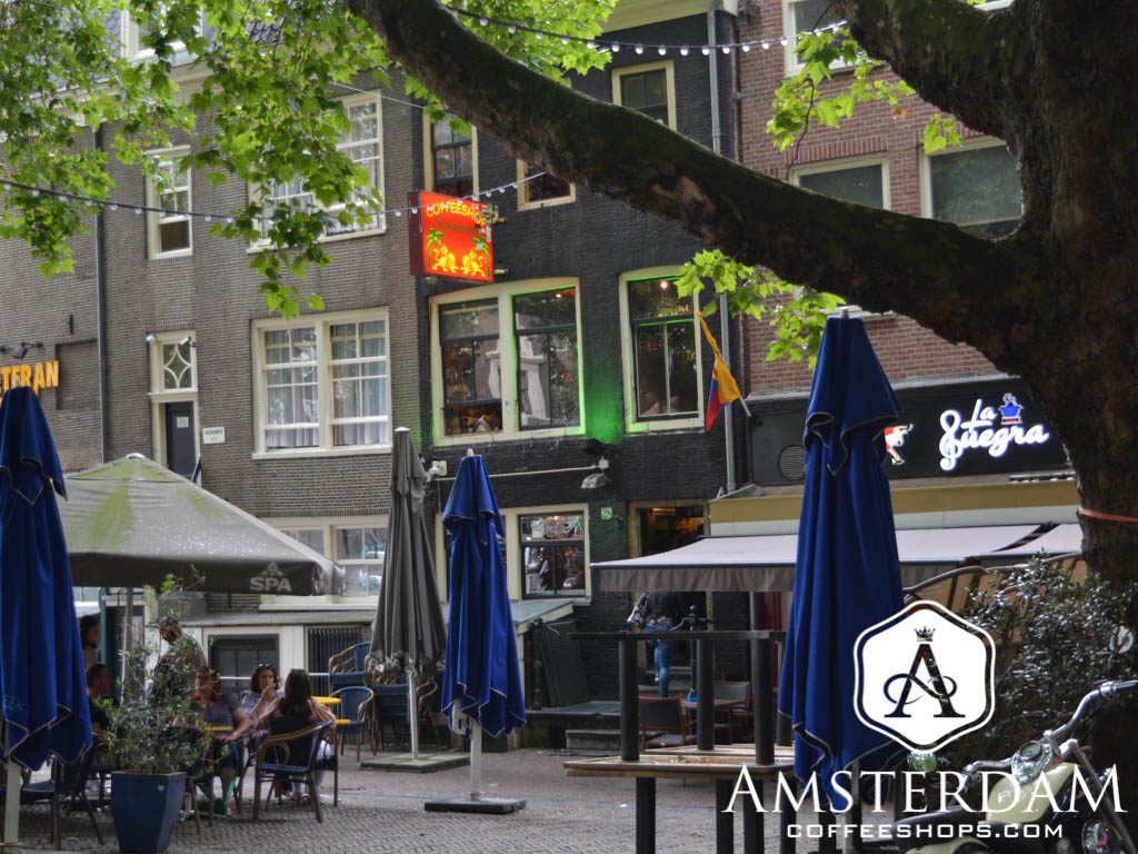 Bushdoctor Amsterdam Centrum Amsterdamcoffeeshops Com